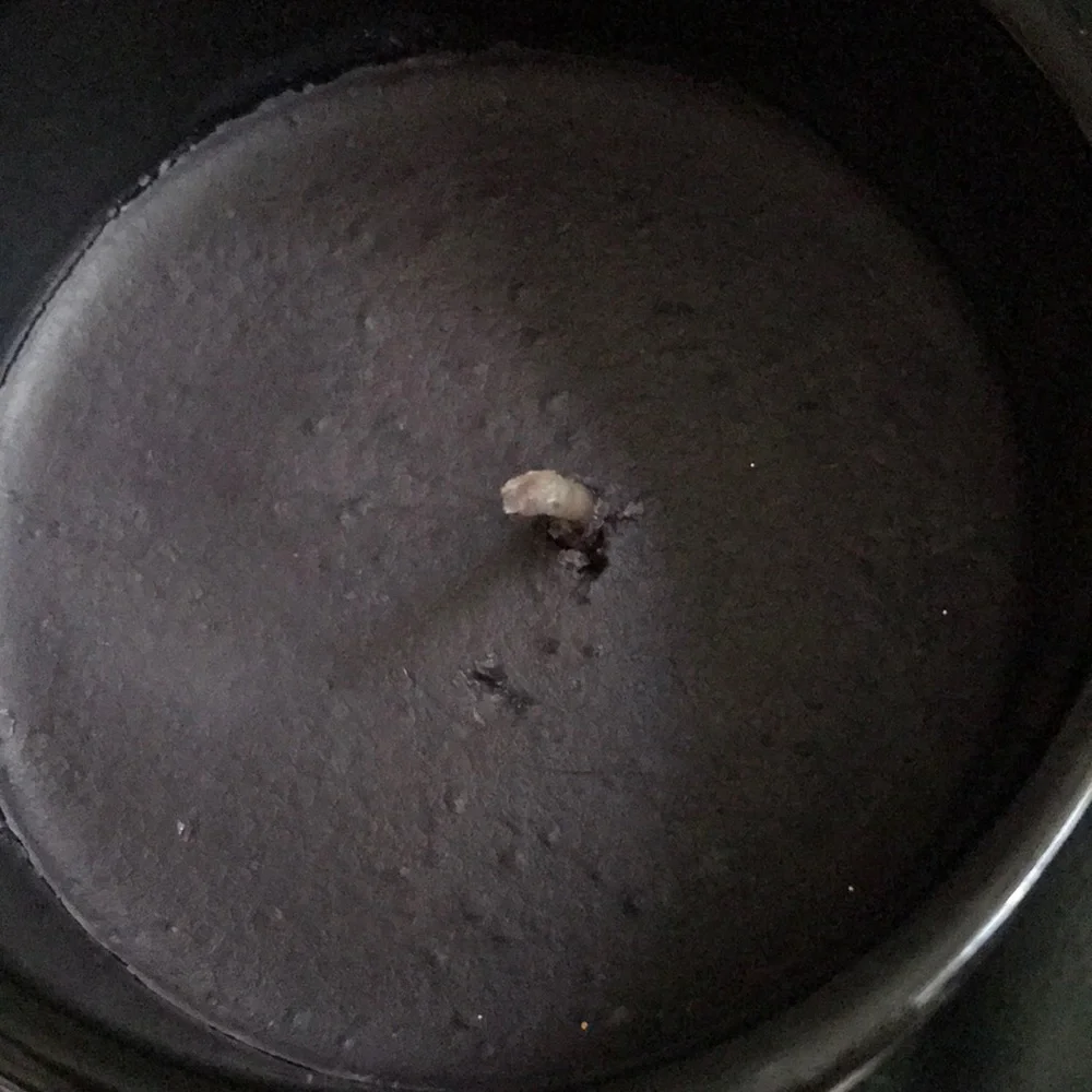 HOLD👻👻👻Rae Dunn BOO Candle - Picture 2 of 3